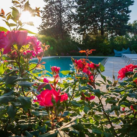 Villa Trullo Amarcord à Selva Di Fasano Extérieur photo
