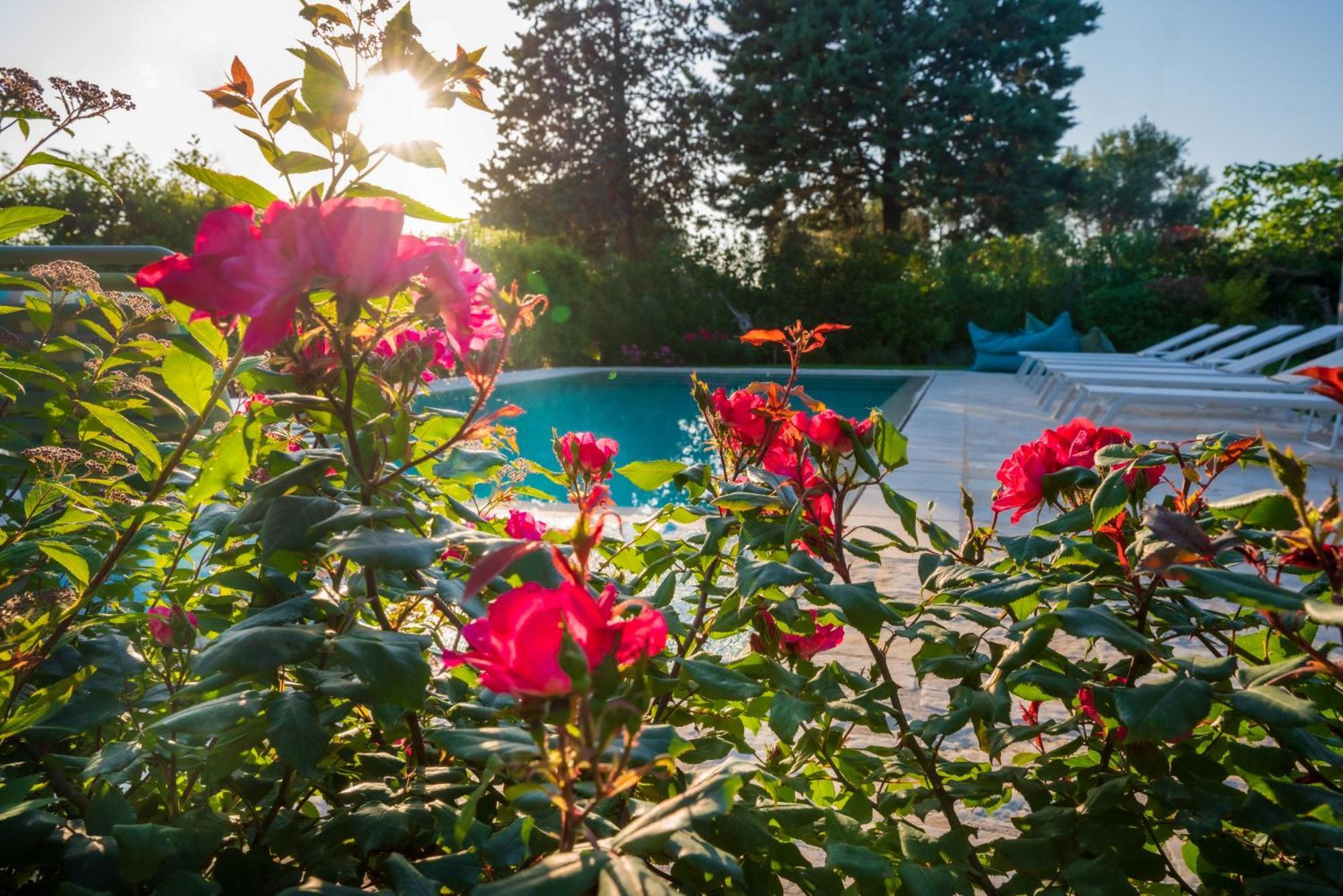 Villa Trullo Amarcord à Selva Di Fasano Extérieur photo